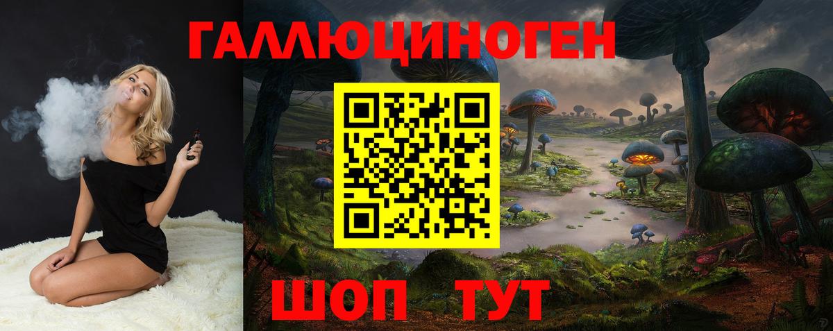 Псилоцибиновые грибы Psilocybine cubensis Барабинск